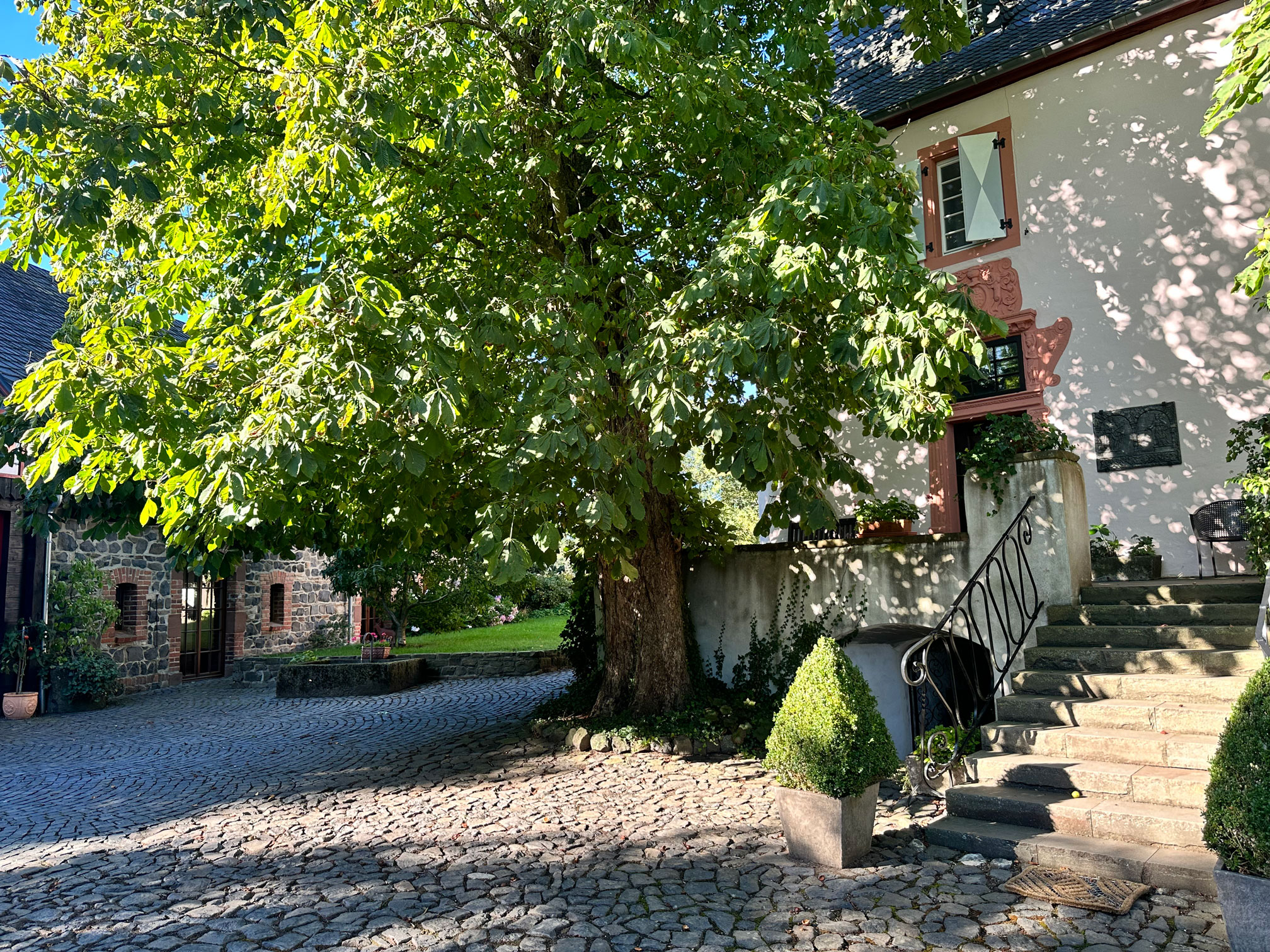 Gästehaus Junkerhaus in der Ahreifel mit Blick in die umliegende Natur Gästehaus Junkerhaus in der Ahreifel mit Blick in die umliegende Natur