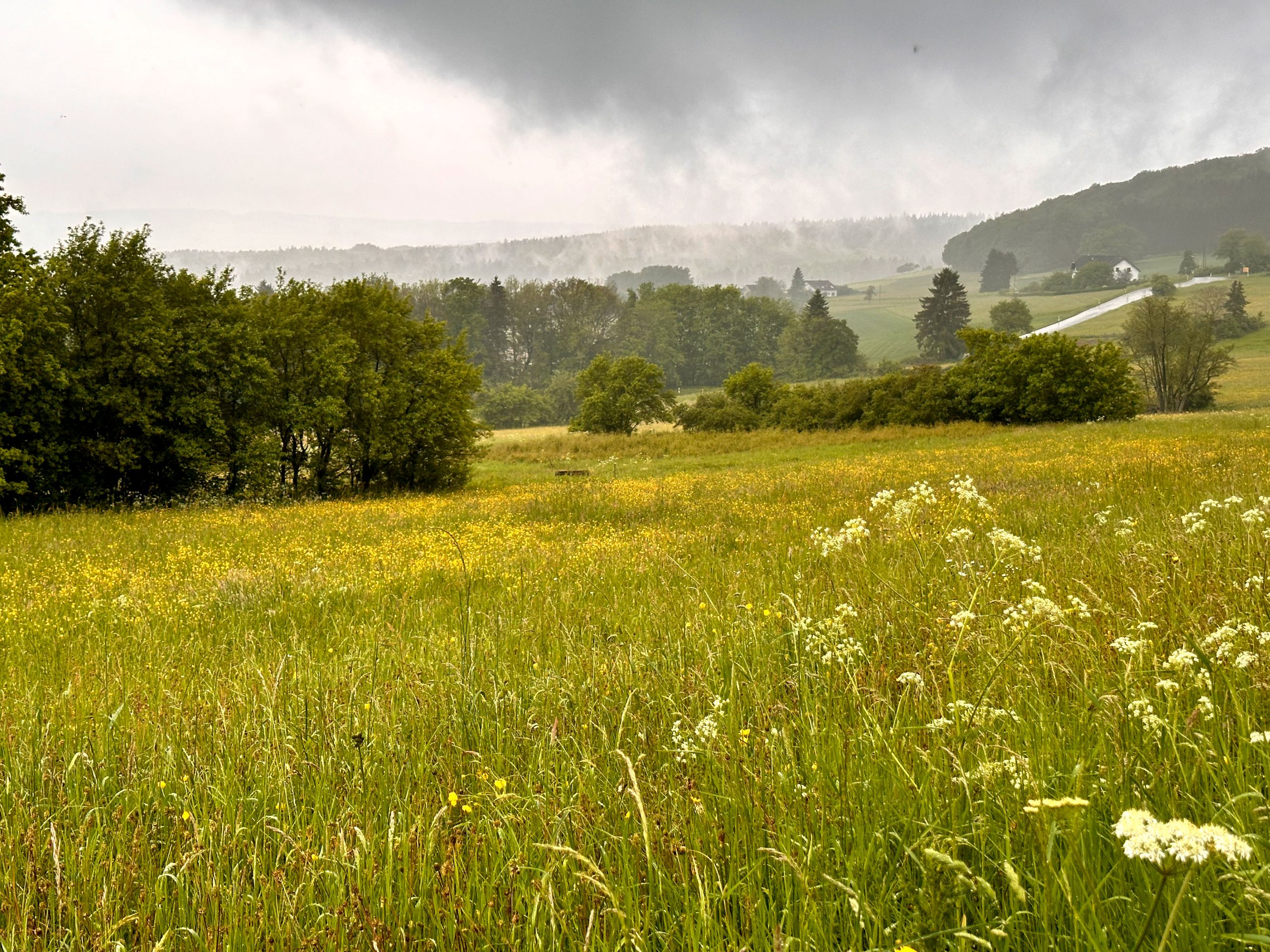 Wanderwege wie der Ahrsteig und Wege des Eifelvereins führen direkt in die Umgebung. Wanderwege wie der Ahrsteig und Wege des Eifelvereins führen direkt in die Umgebung.