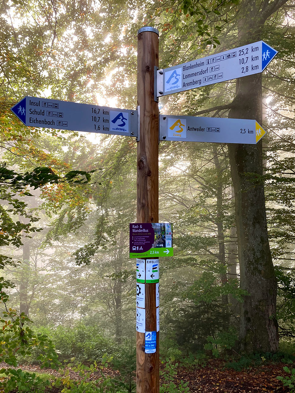 Der Weg verbindet Landschaft, Ortsgeschichte und weite Abschnitte durch die Hocheifel.