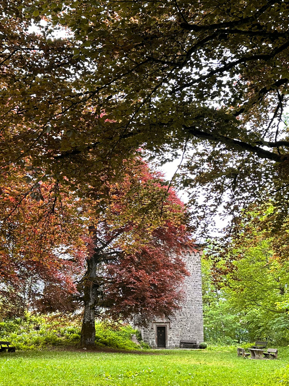 Gerade die Mischung aus Landschaft und Geschichte macht den Spaziergang zur Burgruine so reizvoll.